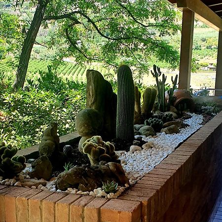 B&B Land & Sea Campofilone 외부 사진