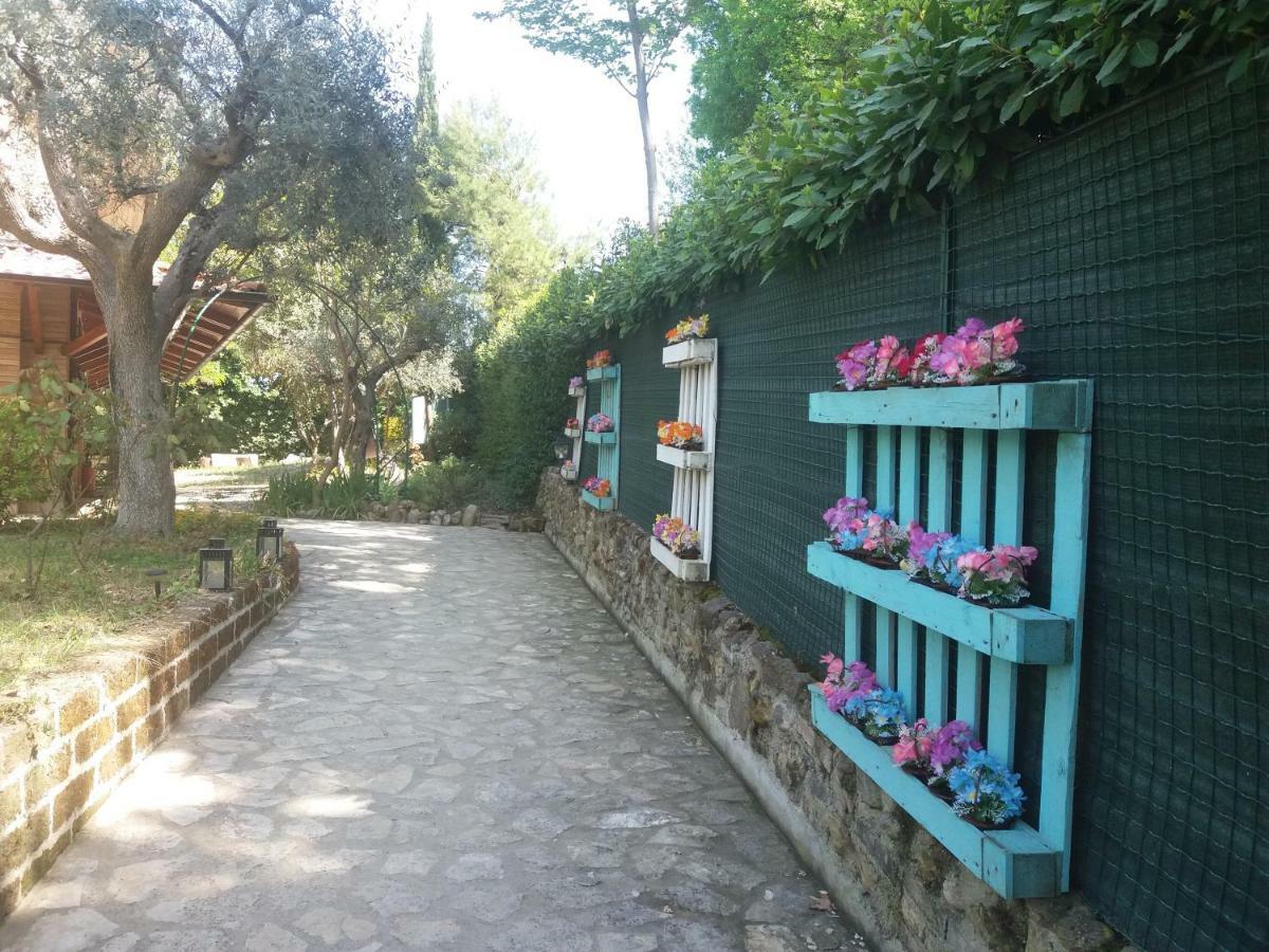 B&B Land & Sea Campofilone 외부 사진