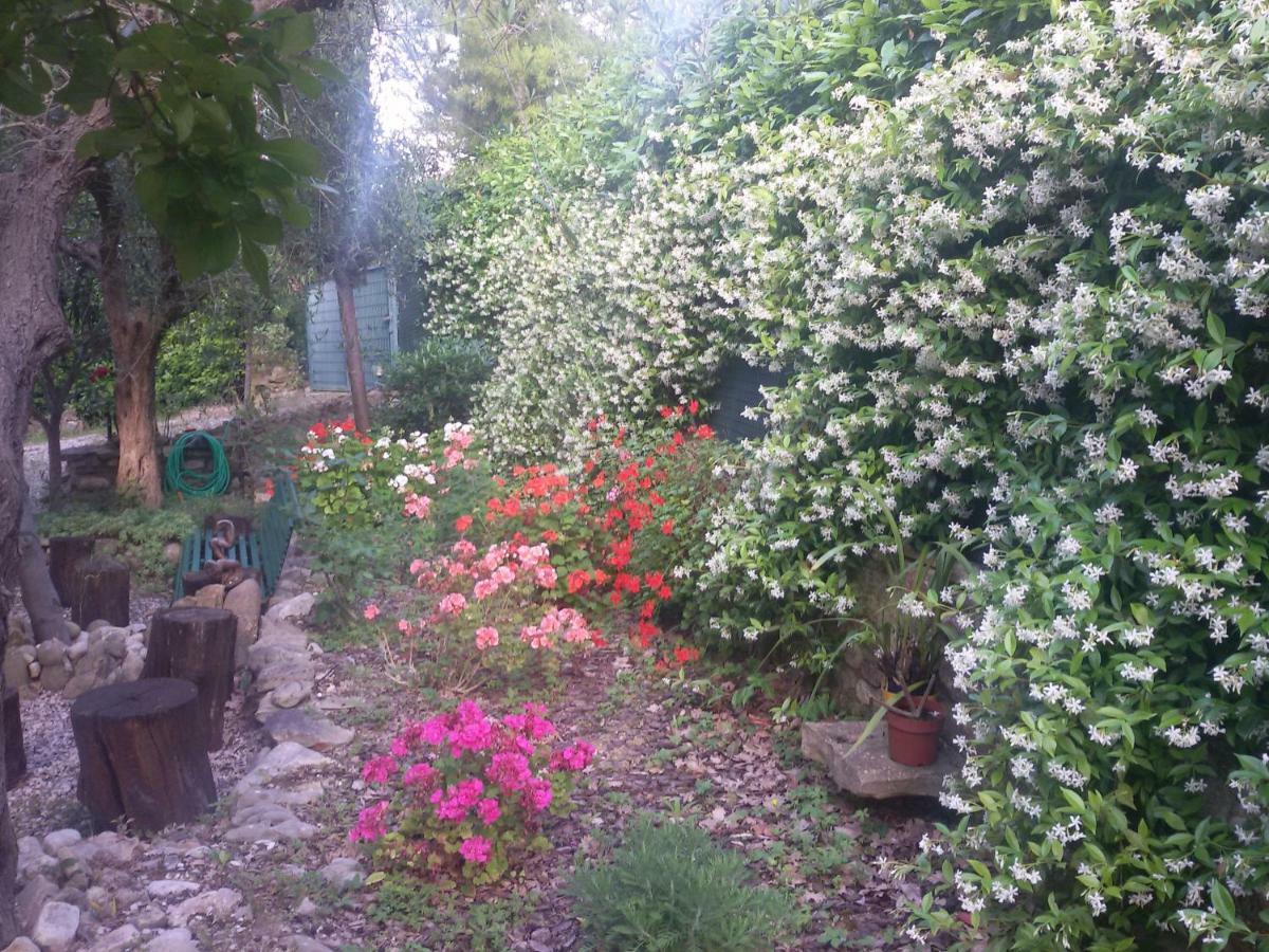 B&B Land & Sea Campofilone 외부 사진